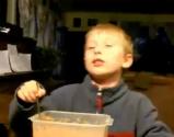 Simple Applesauce