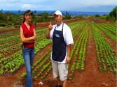 Hawaiian Grown Kitchen :  An Insight Into Arugula Farming