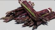 Asparagus