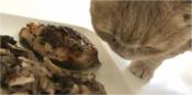 Baked Cod With Shiitake Mushroom And Shirataki Stir Fry