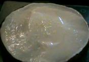 Pinwheel Cake And Cream