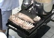 Bbq Baby Back Ribs