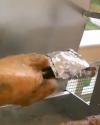The Greek Cook:easter Goat Bbq