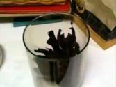 Spicy Beef Jerky