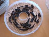 Diy Beef Jerky Recipe Made In Our Dehydrator