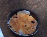 Outdoor Cast Iron Baked Blackberry Dump Cake