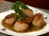 Sea Scallops With Cilantro Butter Sauce