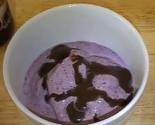 Sugar Free Low Carb Blueberry Ice Cream
