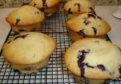 Soft Blueberry Muffins
