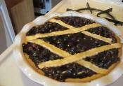 Easy Blueberry Pie
