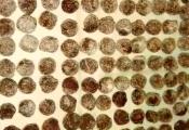 Tamarind Balls