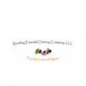 Bombay Emerald Chutney Business Story