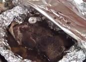 Oven Roasted Pork Roast