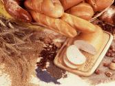 Bread & Grain Intro