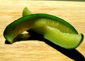 Brined Dill Pickles