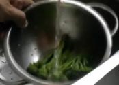 Broccoli florets and sprouting broccoli 