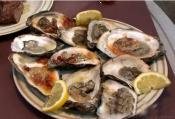 Butter Smoked Oysters