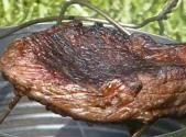 Can Bbq Beef Sirloin