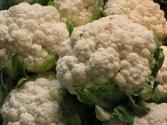Seasons - Cauliflower