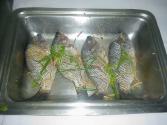 Steamed Whole Fish