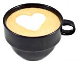 Spicy Chai Concentrate