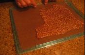 Raw Chocolate Buckwheat Strips
