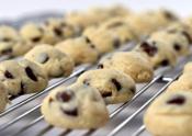 Chocolate Chip Cheesecake Cookie Bites  