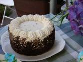 Chocolate Cream Cheese Dessert 