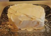 Luscious Chocolate Ice Cream Sandwich Cake Dessert