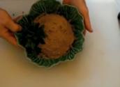 Chopped Liver And Egg