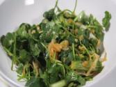 Cilantro Kimchi