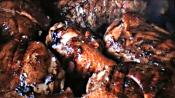 Citrus Marinated Grilled Chicken 
