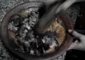 Cooking With Banana Flower 2