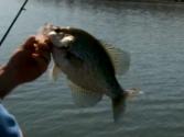 How To Do Crappie Fishing On Barkley Lake