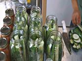 Cucumber Pickles