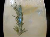 Cucumber Rosemary Lemonade Cocktail
