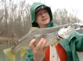 How To Do Cumberland Trout Fishing