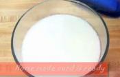 Homemade Yogurt