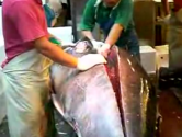 How To Cut Tuna