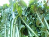 Dandelions With Olive Oil