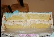 Decorating Multi Layered Vanilla Chiffon Cake Part 5