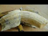 Deep Fried Plantain