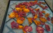 Dehydrating Veggies