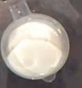 Dessert Rum Cream 