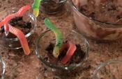 Wormy Mud Pudding 