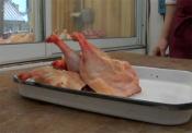 About Duck Legs