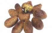 Tasty Dudhi Muthiya