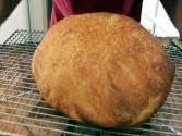 Easy Rustic Bread