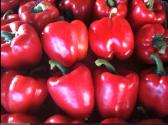 Easy Vegetable Dip And  Pasta Sauce 