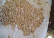 Easy Winter Squash Bake.